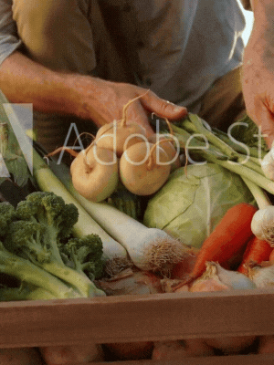 Description of image