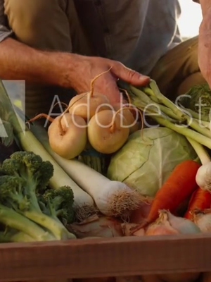 Description of image